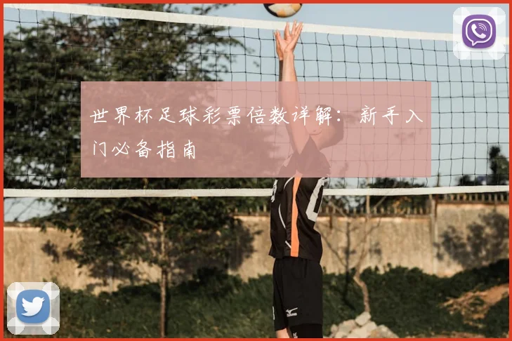世界杯足球彩票倍数详解:新手入门必备指南