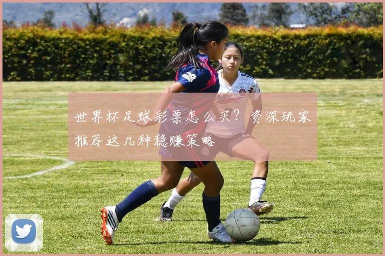 世界杯足球彩票怎么买?资深玩家推荐这几种稳赚策略