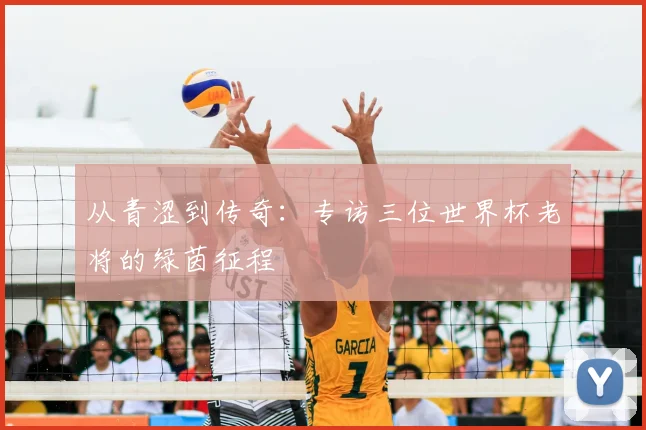从青涩到传奇:专访三位世界杯老将的绿茵征程