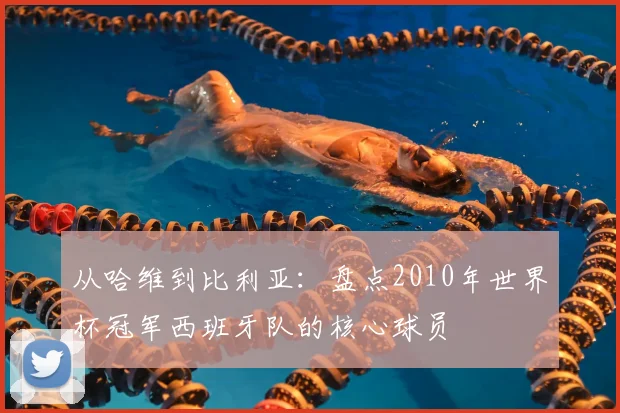 从哈维到比利亚：盘点2010年世界杯冠军西班牙队的核心球员