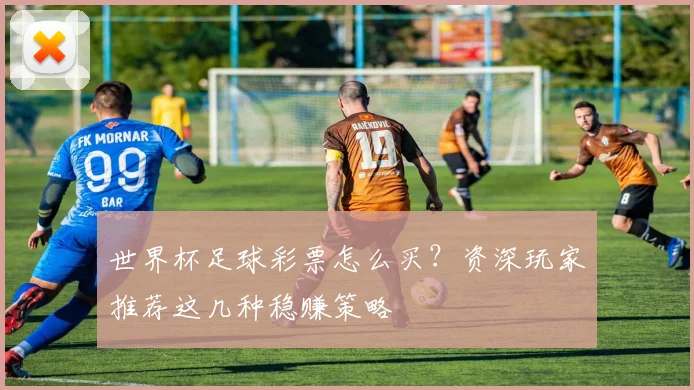 世界杯足球彩票怎么买?资深玩家推荐这几种稳赚策略