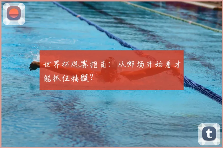 世界杯观赛指南:从哪场开始看才能抓住精髓?