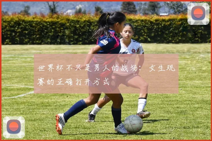 世界杯不只是男人的战场:女生观赛的正确打开方式
