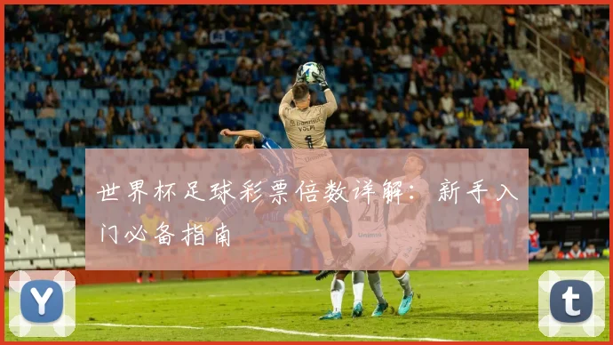 世界杯足球彩票倍数详解:新手入门必备指南